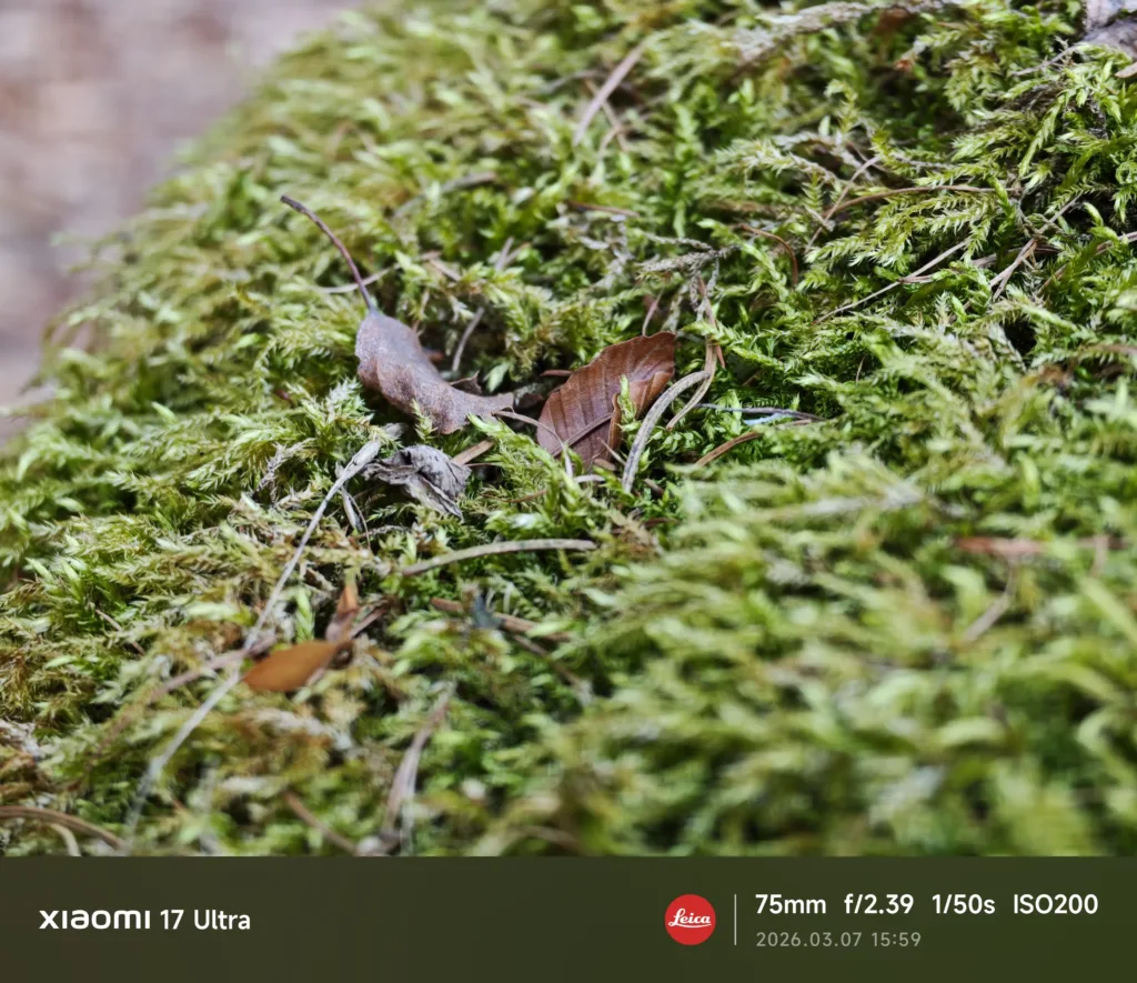 xiaomi 17 ultra fotografie porizena teleobjektivem 11