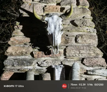 xiaomi 17 ultra fotografie porizena teleobjektivem 4