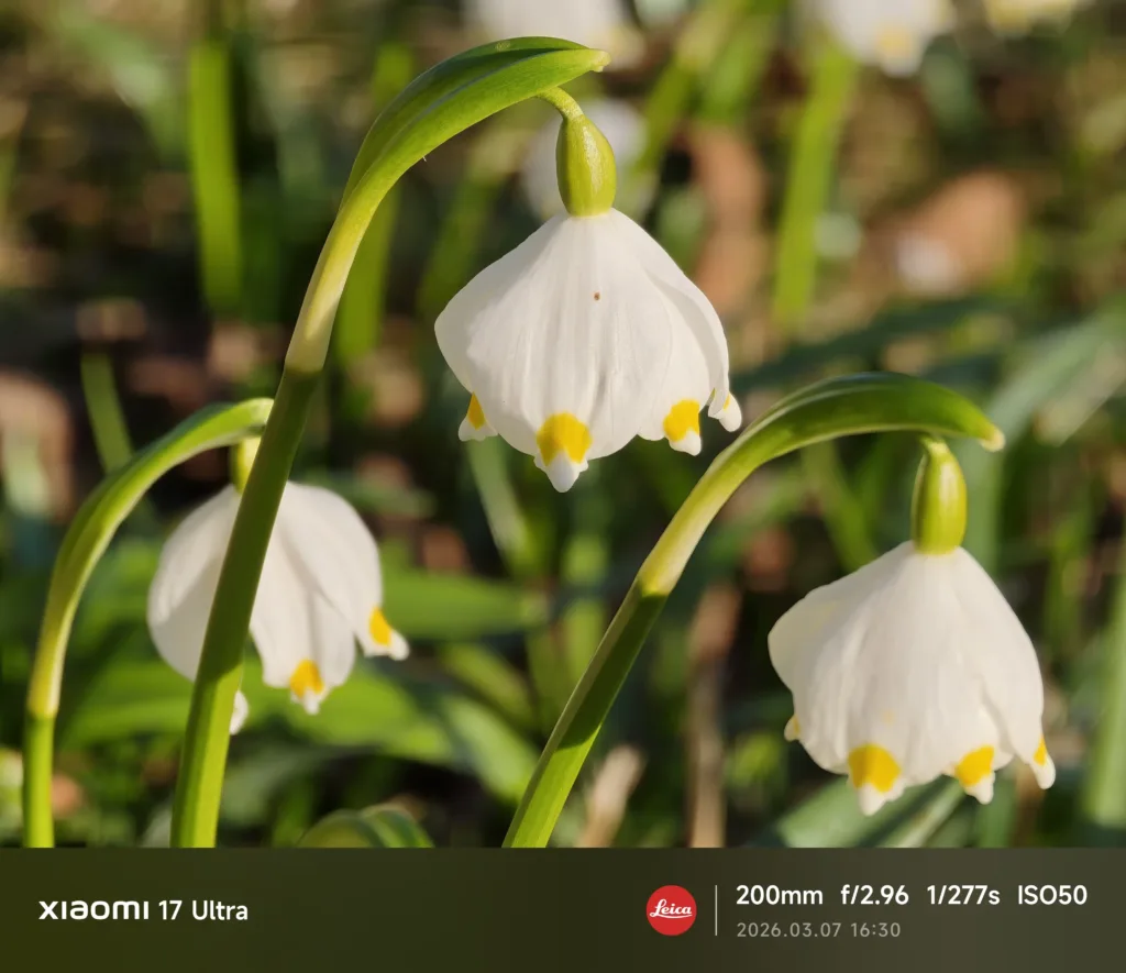 xiaomi 17 ultra fotografie porizena teleobjektivem 5