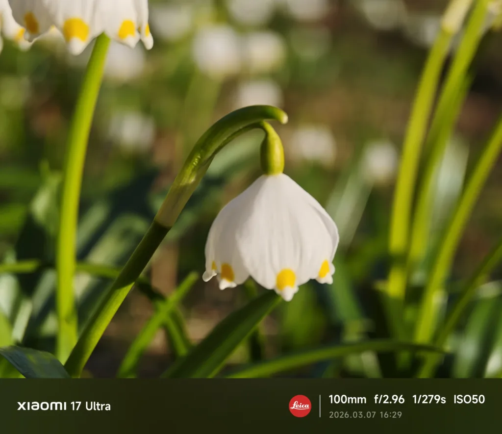 xiaomi 17 ultra fotografie porizena teleobjektivem 6