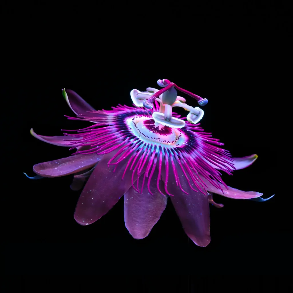 aluminium os unikla tapeta 1