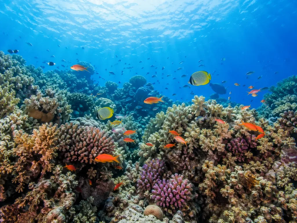 chatgpt image 2.0 ukazky 6