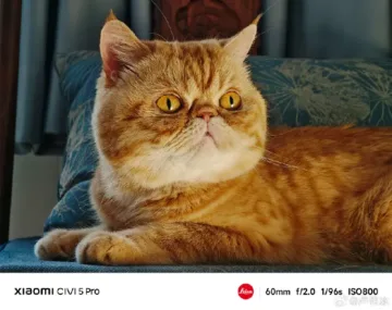 xiaomi civi 5 pro ukazkova fotografie kocka