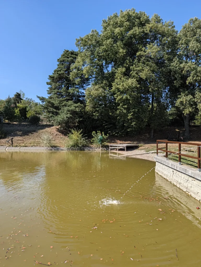 Pixel 11 Pro XL hlavni fotoaparat 1x zoom 10