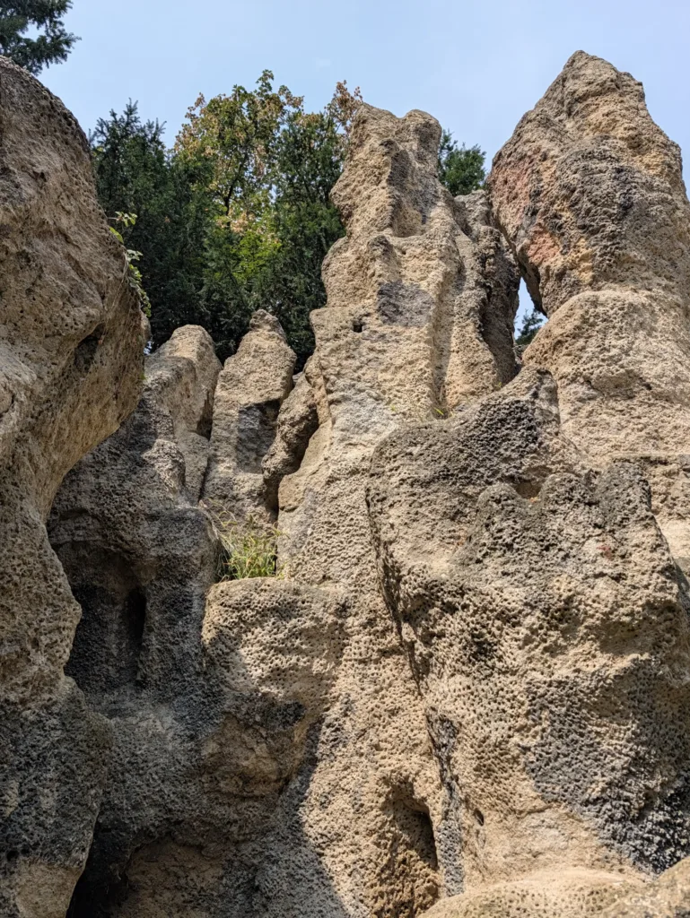 Pixel 11 Pro XL hlavni fotoaparat 1x zoom 21