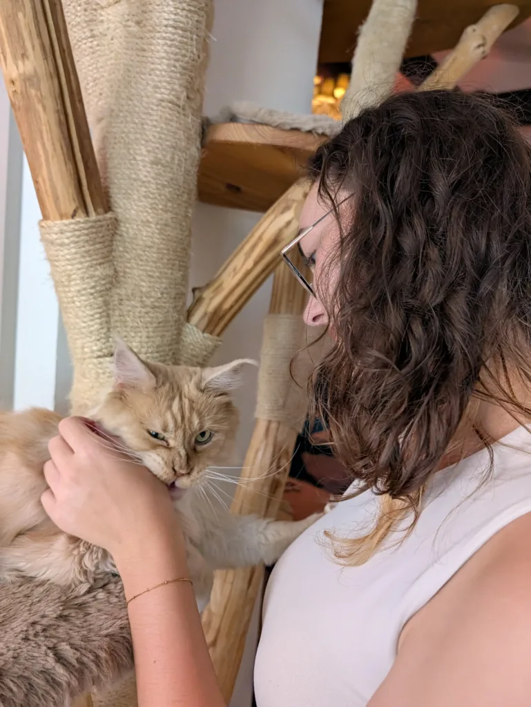 Pixel 11 Pro XL hlavni fotoaparat 1x zoom 22