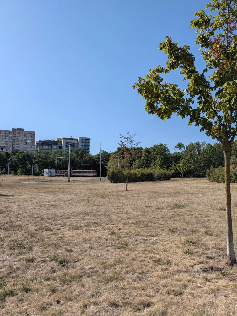 Pixel 11 Pro XL hlavni fotoaparat 1x zoom 40