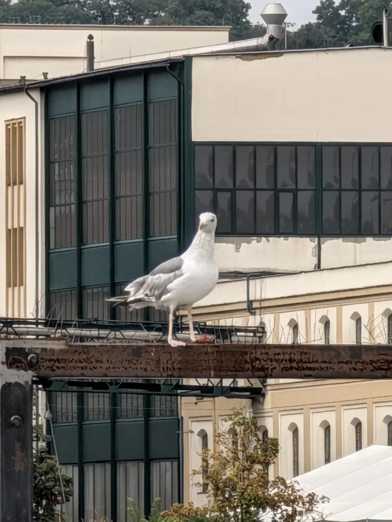 Pixel 11 Pro XL teleobjektiv 30x zoom