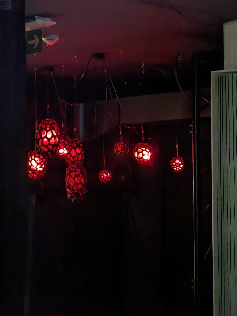 Pixel 11 Pro XL teleobjektiv 5x zoom