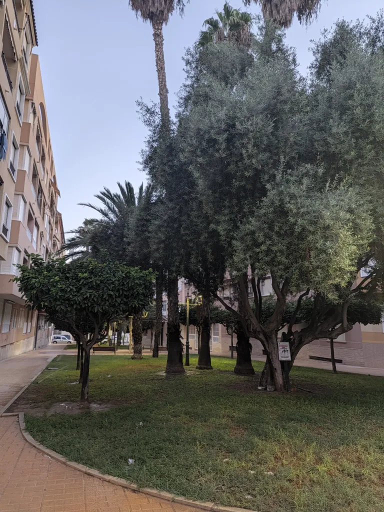 google pixel 11 fotografie ve dne 16
