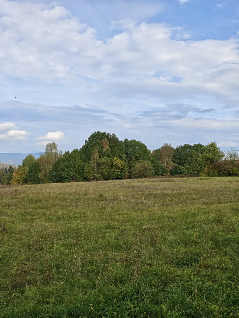 IMG 20261008 124614