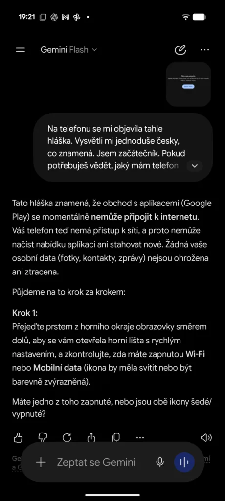 gemini reseni problemu